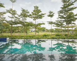 FLAMINGO ĐẠI LẢI B96