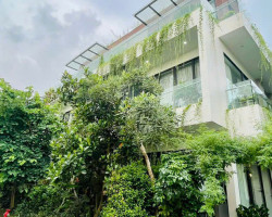 FLAMINGO ĐẠI LẢI GV38