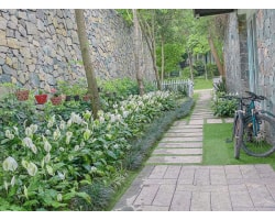 Flamingo Đại Lải A11