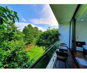 Flamingo Đại Lải B108