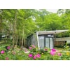 Flamingo Đại Lải R134